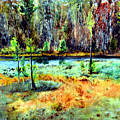 Lost Lake of Muskegon